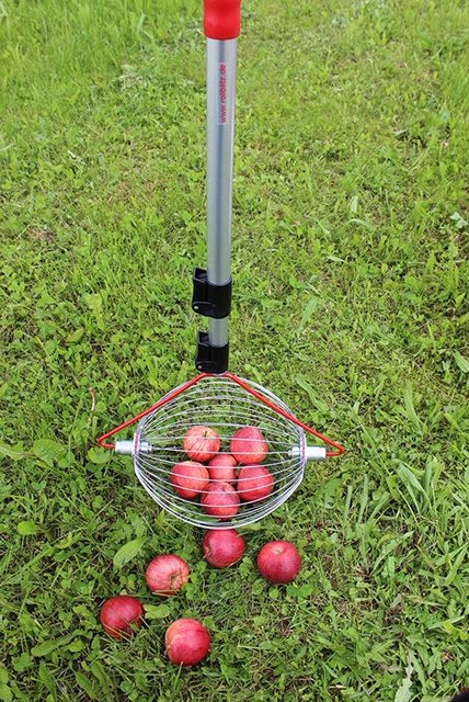 Obstsammler in 3 Größen