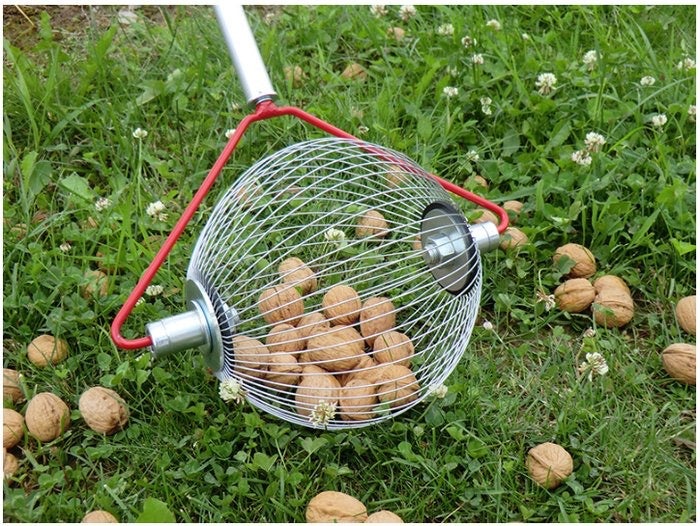 Obstsammler in 3 Größen