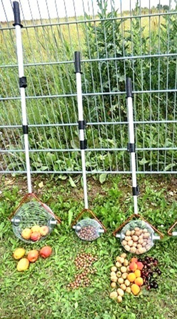 Obstsammler in 3 Größen
