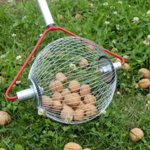 Obstsammler