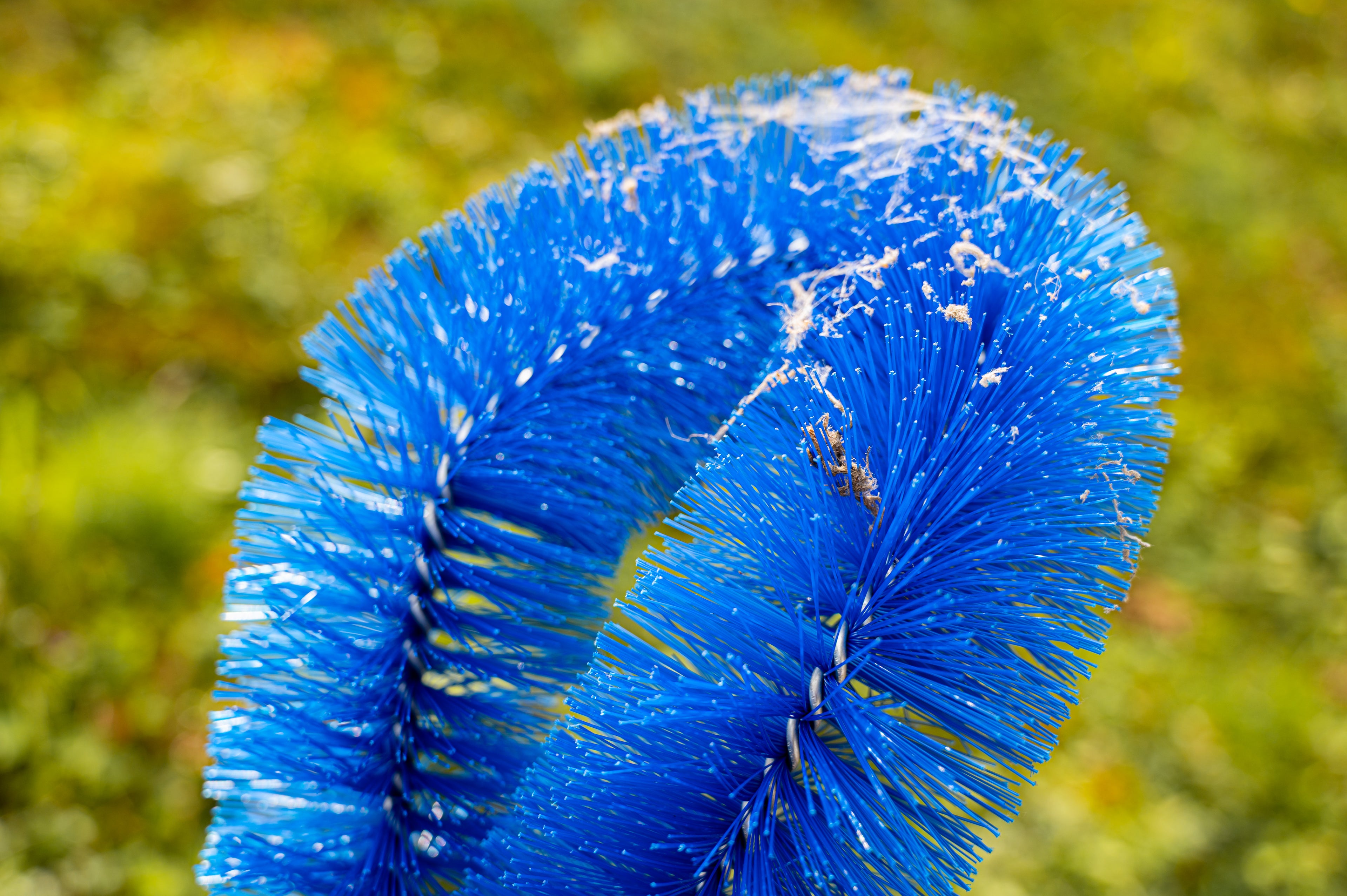 Rohrbürste (blau hart)